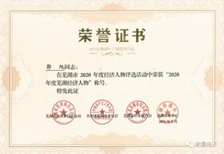 宏景电子 郭旭总裁当选2020年度芜湖经济人物